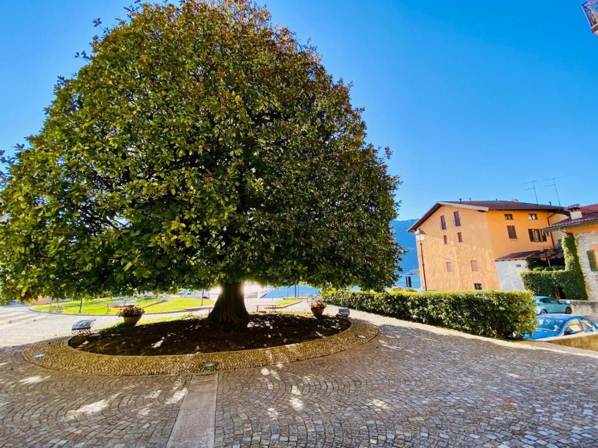 Villa Angelo Loft Tremezzo Exterior foto